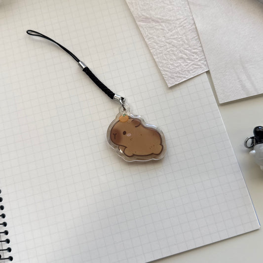 Capybara Charm